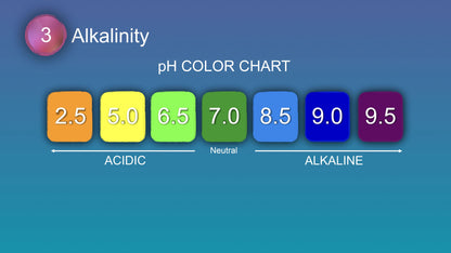Enagic Kangen Water, Leveluk SD501 Platinum Machine