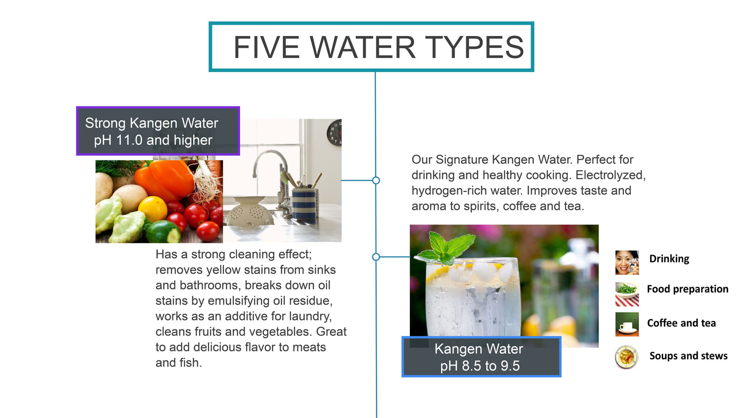 Enagic Kangen Water, Leveluk SD501 Platinum Machine